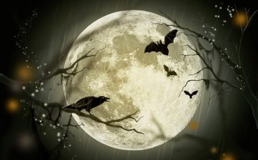 bats, trees and big glistening moon in the background