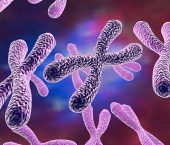 Human chromosomes, 3D illustration. Science and medicine background